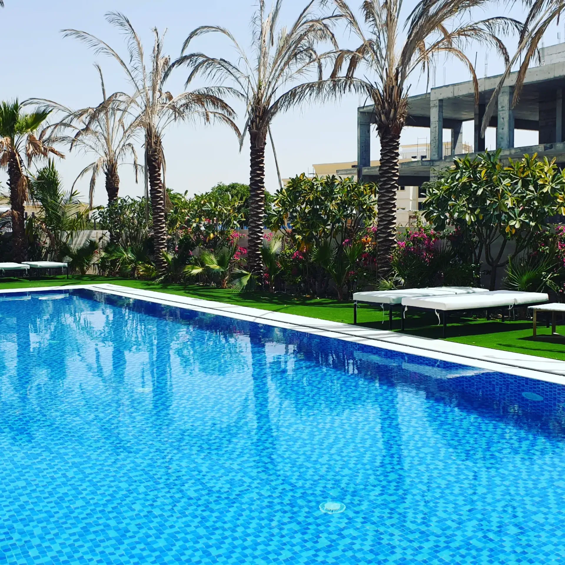 A blue mosaic pool bordered by palms and loungers on a lawn
